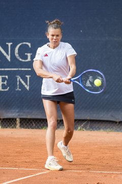 Bild 138 - BL DTV Hannover - BW Dresden Blasewitz : Ergebnis: 2:7